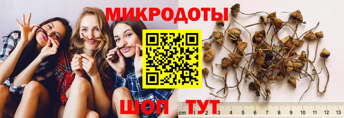 Псилоцибиновые грибы мухоморы  Вход с VPN  Новороссийск 