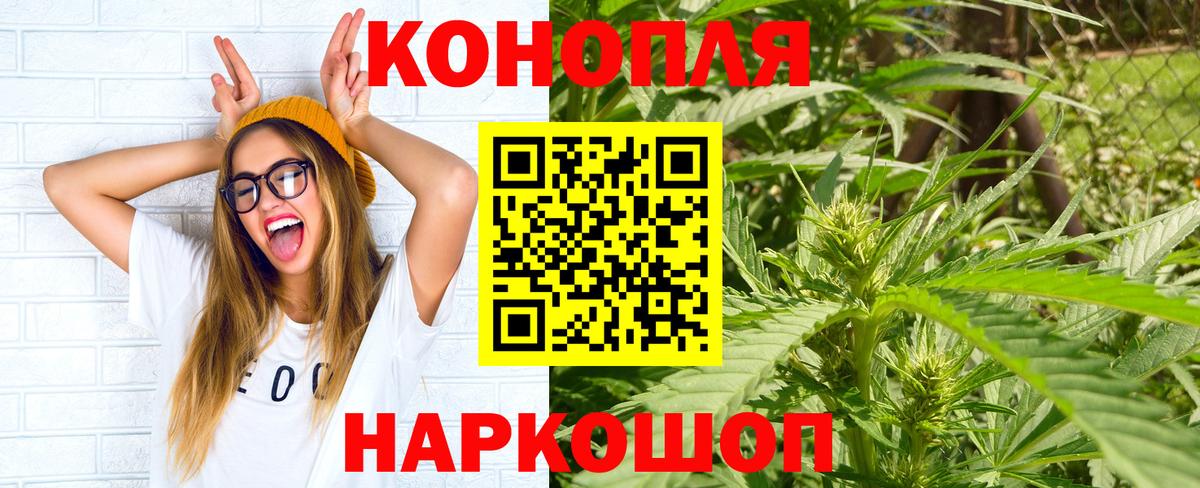 Бошки Шишки SATIVA & INDICA Новороссийск